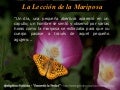 Lamariposa