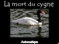 La mort du cygne - The dying swan