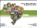 Slide utilizado durante o lançamento do SIBEA