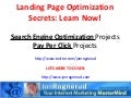 The Underground Landing Page Optimization Guide for SEO & PPC - Jon Rognerud