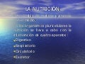La NutricióN