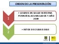 Lanzamiento guias 2010: Logros y retos