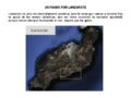 Un paseo por Lanzarote