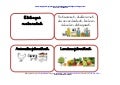 Lapbook elikagaiak