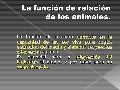La relacion en animales