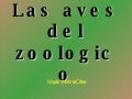 Las Aves Del Zoologico