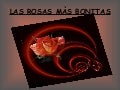 Las Rosas MàS Bonitas