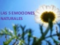 Las 5 emociones naturales