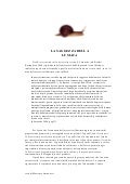 La Saggezza Della Lumaca