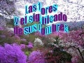 Las Flores Y El Significado De Sus Nombres (1)