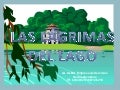 Las lágrimas del lago