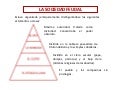 La sociedad feudal