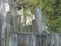 Les fontaines pétrifiantes de la sône en france