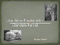 Las paratiroides y la g. pineal def