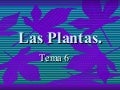 Las plantas