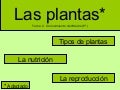 Las plantas (adaptada)