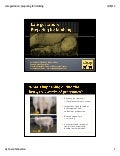 Late gestation 