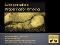 Late gestation