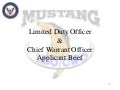 LDO CWO applicantbrief