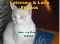 Latinisms Gemita1