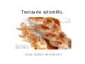 La trenza de solomillo