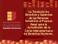 ENJ-300 La Tutela de los Derechos y Garantías de las Personas Sometidas al Proceso Penal ante la Jurisdicción de La Corte Interamericana de Derechos Humanos