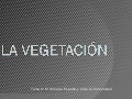 La vegetación