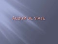 áLbum de viaje