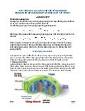 Lục lạp