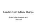 Leadership In Cultural Change Chapt 4