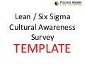 Lean six sigma culture survey
