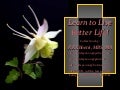 Learn to live better life