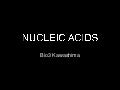 Lec20 Nucleic Acids