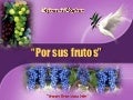 Leccion 1 1q 2010 Por Sus Frutos Apc