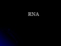 Rna