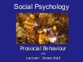 Prosocial Behaviour