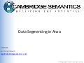 Data Segmenting in Anzo