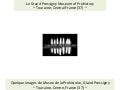 Grand pressigny ~ Museum of Prehistory, Touraine, Central France (37)