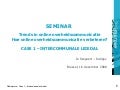 Leiedal Website Definitie Jo Steyaert 2008 12 16