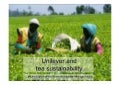 Unilever Tea Sustainability