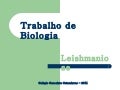 Leishmaniose 
