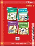 Lenguaje 1º básico módulo 2 profesor