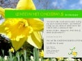 Lente in het Onderwijs - Kenniscarrousel 2