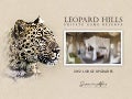 Leopard Hills 