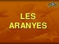 Les aranyes 