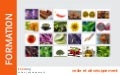 Les etudes de marche (et la veille marketing)   cours - mme genin