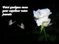 Lesroses(Adamo)