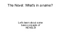 What is a Novel?