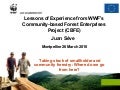 Lessons of experience from WWF’s community based forest enterprises project (CBFE)