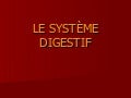 Le systeme digestif